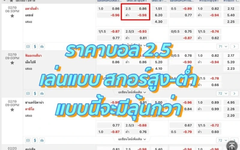 ราคาบอล 2.5 คือ